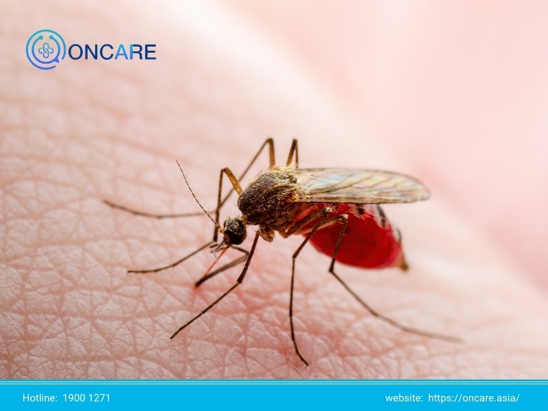 Các bệnh giao mùa thu đông thường gặp